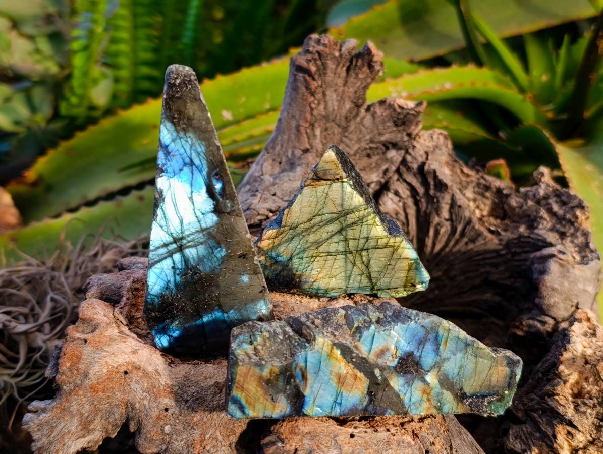 Polished On One Side Labradorite x 24 From Tulear, Madagascar - Toprock Gemstones and Minerals 