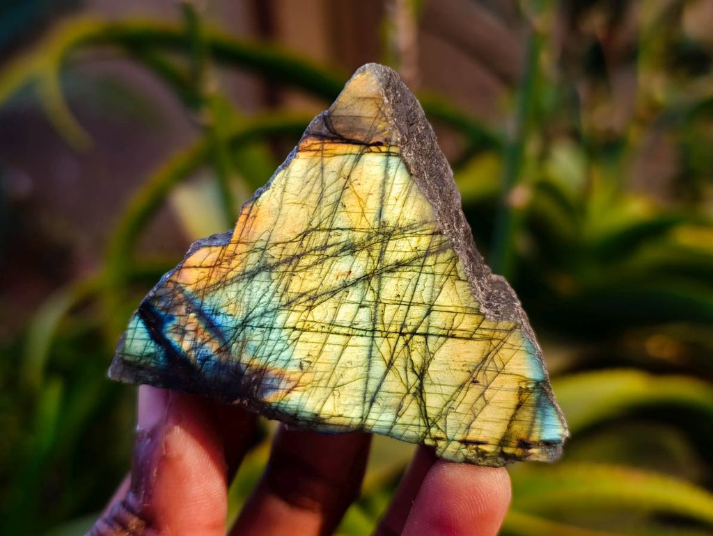 Polished On One Side Labradorite x 24 From Tulear, Madagascar - Toprock Gemstones and Minerals 