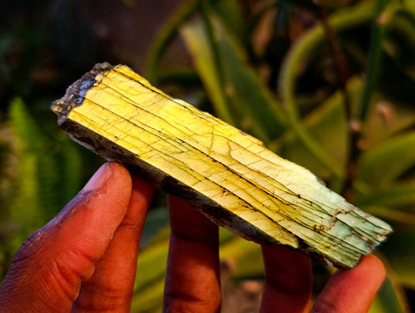Polished On One Side Labradorite x 24 From Tulear, Madagascar - Toprock Gemstones and Minerals 
