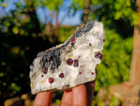 Natural Garnet In Quartz Feldspar Matrix Specimens x 17 From Namibia