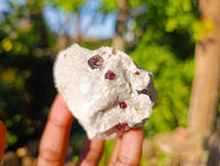 Natural Garnet In Quartz Feldspar Matrix Specimens x 17 From Namibia