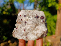 Natural Garnet In Quartz Feldspar Matrix Specimens x 17 From Namibia