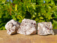 Natural Garnet In Quartz Feldspar Matrix Specimens x 17 From Namibia