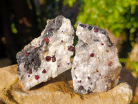 Natural Garnet In Quartz Feldspar Matrix Specimens x 17 From Namibia