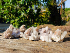 Natural Spirit Quartz Specimens x 12 From Boekenhouthoek, South Africa - Toprock Gemstones and Minerals 