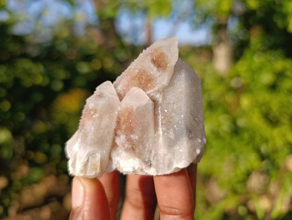 Natural Spirit Quartz Specimens x 12 From Boekenhouthoek, South Africa - Toprock Gemstones and Minerals 