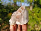 Natural Spirit Quartz Specimens x 12 From Boekenhouthoek, South Africa - Toprock Gemstones and Minerals 