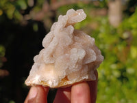 Natural Spirit Quartz Specimens x 12 From Boekenhouthoek, South Africa - Toprock Gemstones and Minerals 