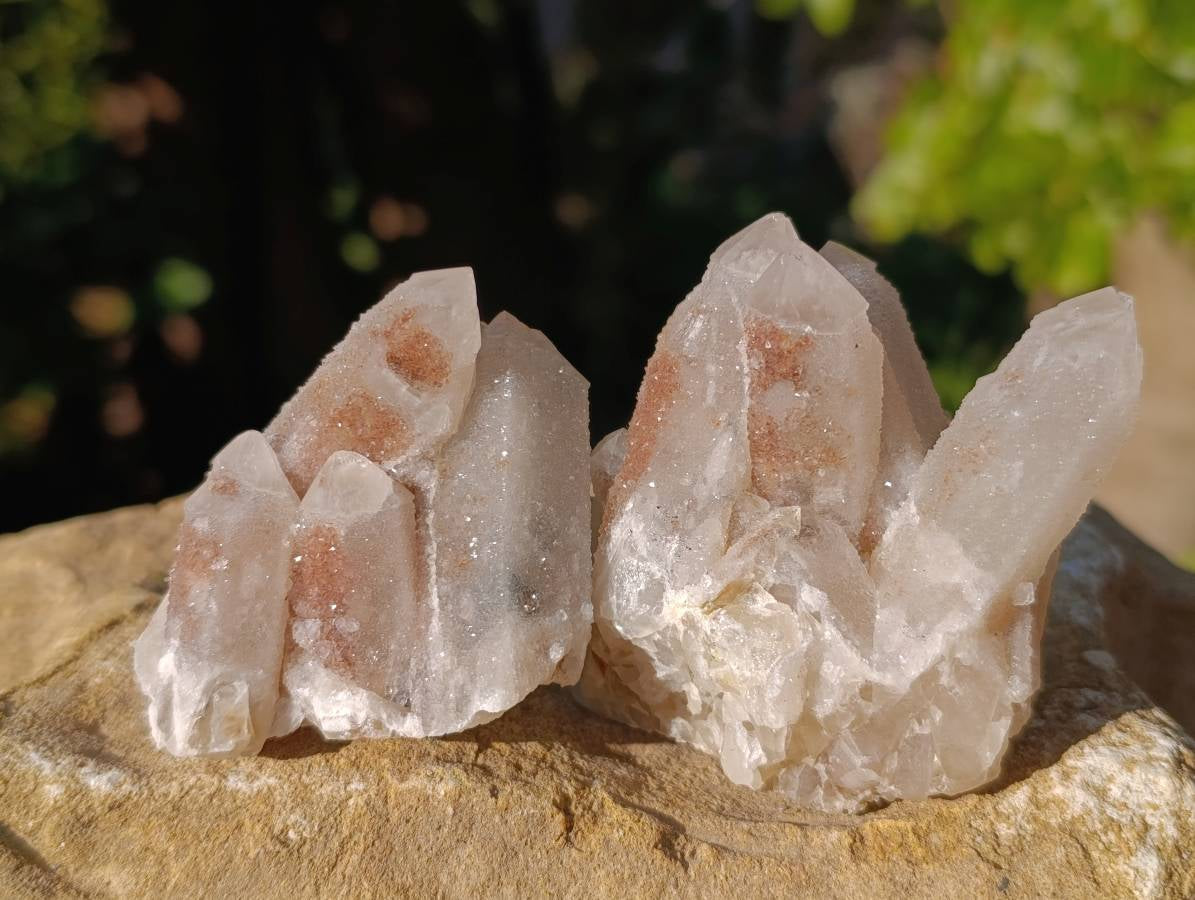 Natural Spirit Quartz Specimens x 12 From Boekenhouthoek, South Africa - Toprock Gemstones and Minerals 