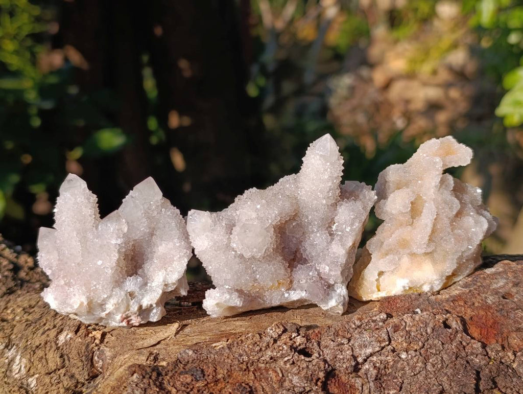 Natural Spirit Quartz Specimens x 12 From Boekenhouthoek, South Africa - Toprock Gemstones and Minerals 