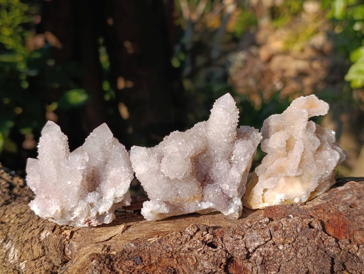 Natural Spirit Quartz Specimens x 12 From Boekenhouthoek, South Africa - Toprock Gemstones and Minerals 