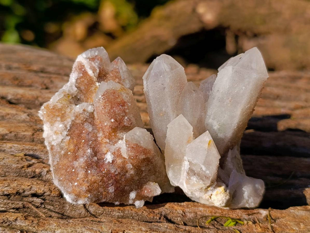 Natural Spirit Quartz Specimens x 12 From Boekenhouthoek, South Africa - Toprock Gemstones and Minerals 