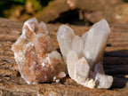 Natural Spirit Quartz Specimens x 12 From Boekenhouthoek, South Africa - Toprock Gemstones and Minerals 