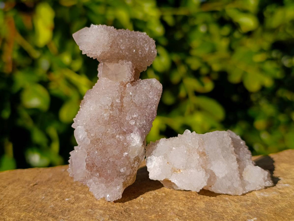 Natural Spirit Quartz Specimens x 12 From Boekenhouthoek, South Africa - Toprock Gemstones and Minerals 