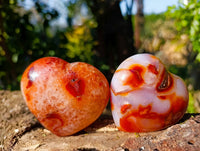 Polished Carnelian Agate Gemstone Hearts x 6 From Madagascar