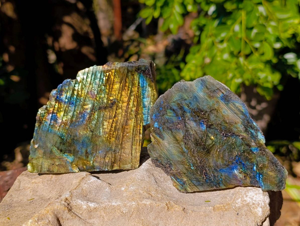 Polished On One Side Labradorite Slices x 6 From Tulear, Madagascar - Toprock Gemstones and Minerals 