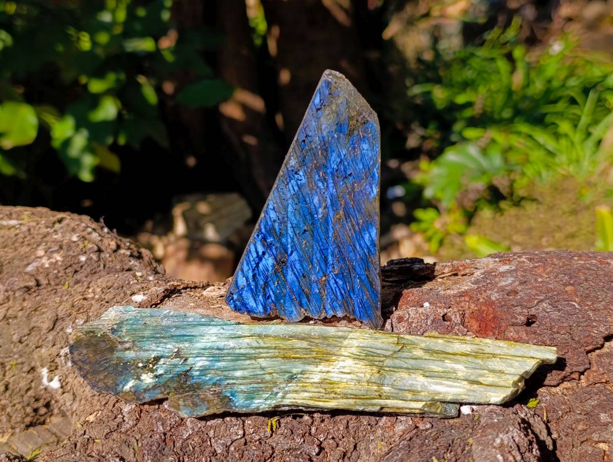 Polished On One Side Labradorite Slices x 6 From Tulear, Madagascar - Toprock Gemstones and Minerals 