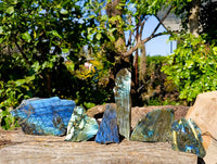 Polished On One Side Labradorite Slices x 6 From Tulear, Madagascar