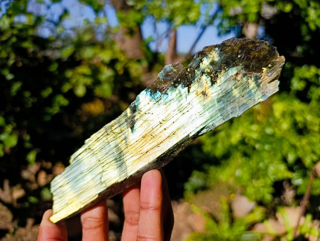 Polished On One Side Labradorite Slices x 6 From Tulear, Madagascar - Toprock Gemstones and Minerals 