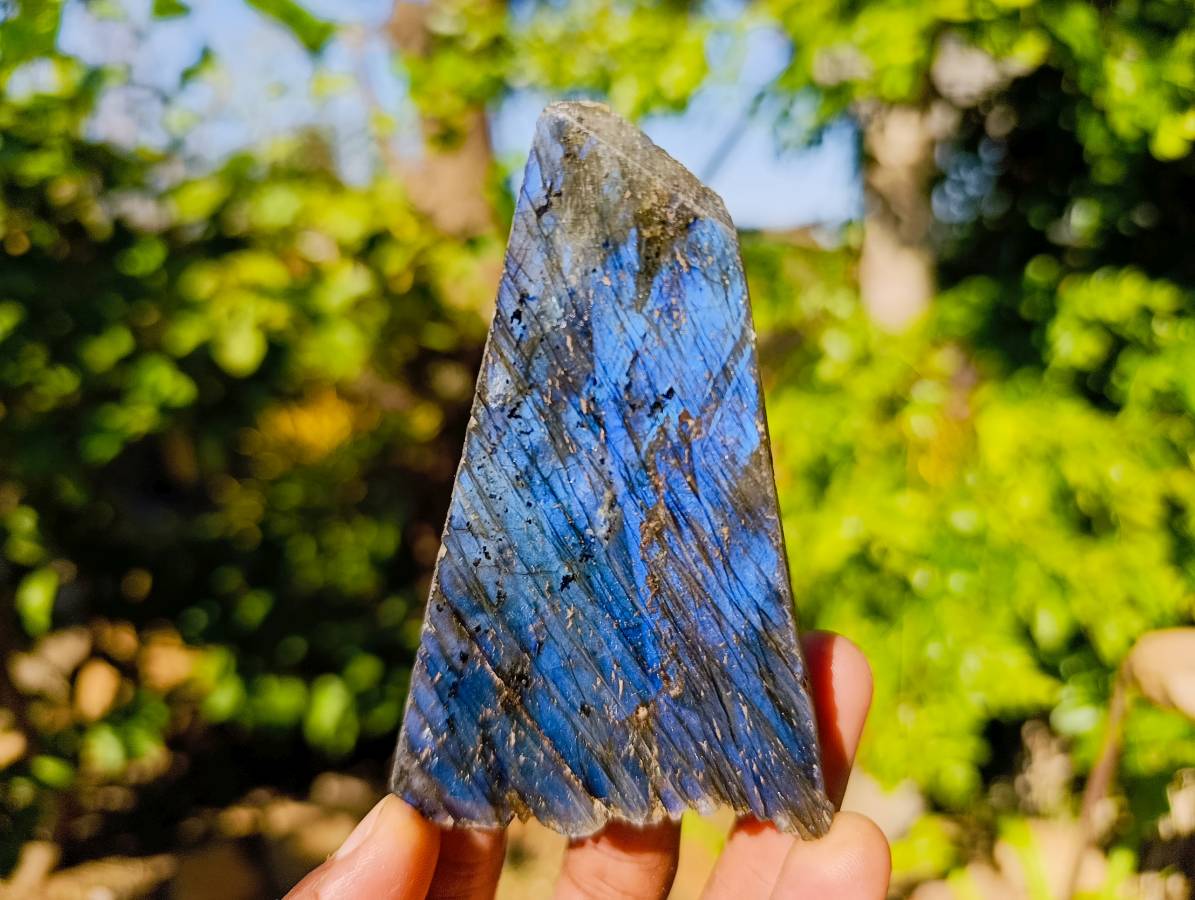 Polished On One Side Labradorite Slices x 6 From Tulear, Madagascar - Toprock Gemstones and Minerals 