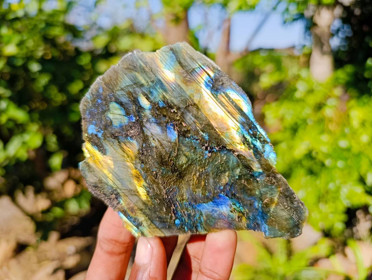 Polished On One Side Labradorite Slices x 6 From Tulear, Madagascar - Toprock Gemstones and Minerals 
