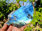 Polished On One Side Labradorite Slices x 6 From Tulear, Madagascar - Toprock Gemstones and Minerals 