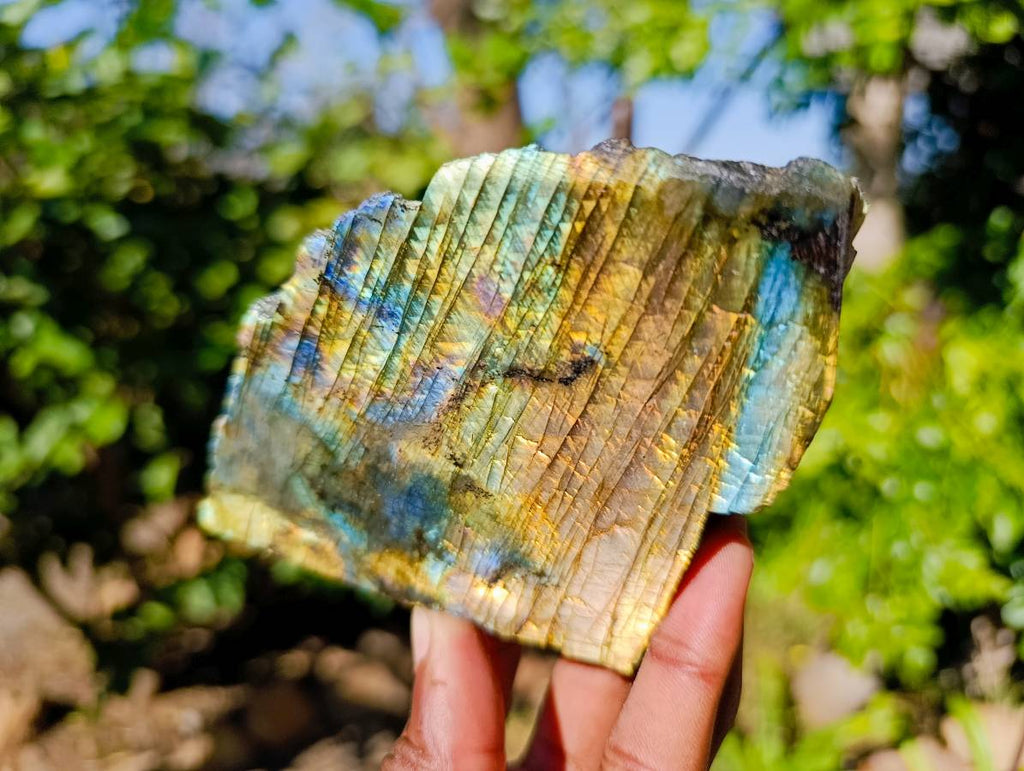 Polished On One Side Labradorite Slices x 6 From Tulear, Madagascar - Toprock Gemstones and Minerals 