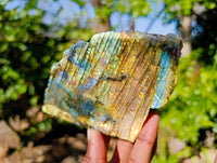 Polished On One Side Labradorite Slices x 6 From Tulear, Madagascar