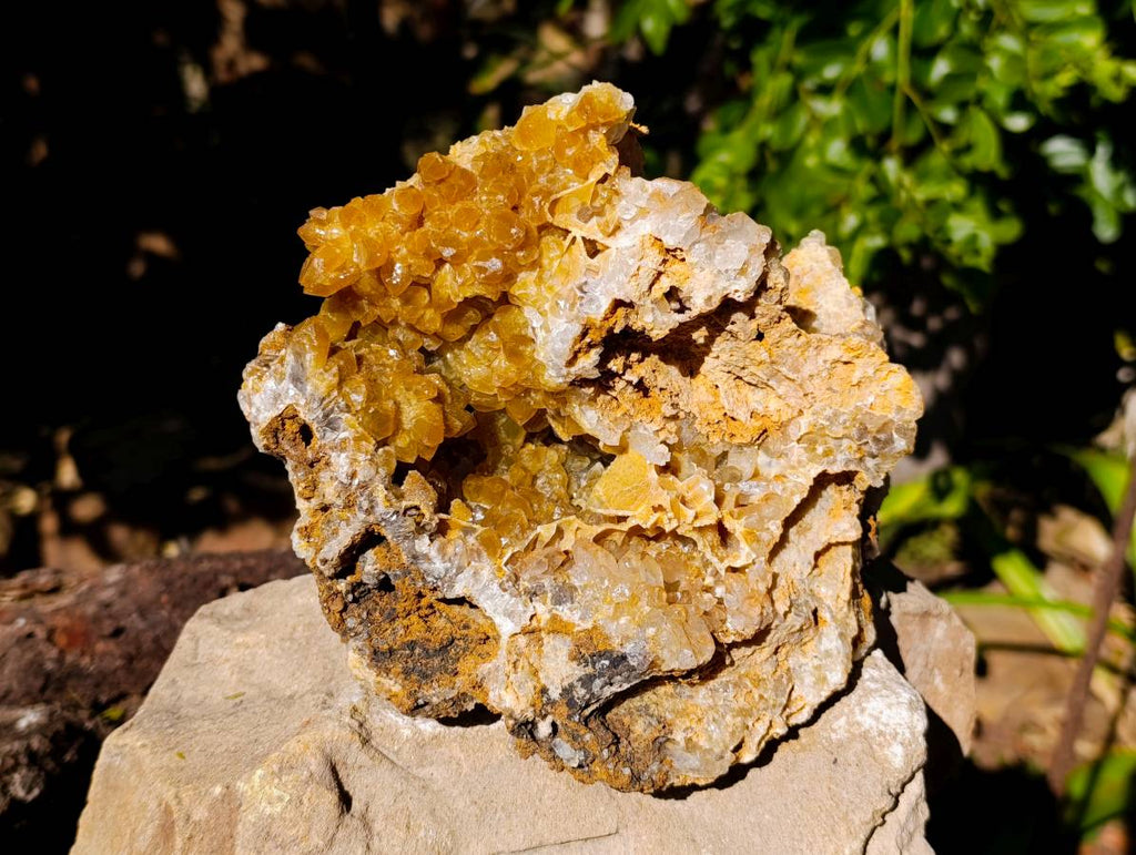 Natural Golden Limonite Quartz Geode Specimens x 2 From Zambia - Toprock Gemstones and Minerals 