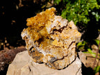 Natural Golden Limonite Quartz Geode Specimens x 2 From Zambia - Toprock Gemstones and Minerals 