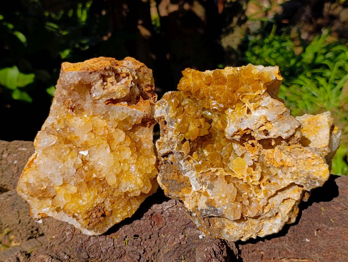 Natural Golden Limonite Quartz Geode Specimens x 2 From Zambia - Toprock Gemstones and Minerals 