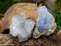 Natural Blue Lace Agate Geode Specimens x 24 From Nsanje, Malawi