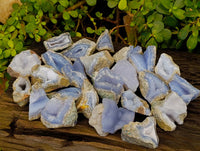 Natural Blue Lace Agate Geode Specimens x 24 From Nsanje, Malawi