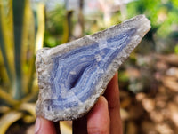 Natural Blue Lace Agate Geode Specimens x 24 From Nsanje, Malawi