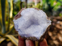 Natural Blue Lace Agate Geode Specimens x 24 From Nsanje, Malawi