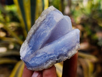 Natural Blue Lace Agate Geode Specimens x 24 From Nsanje, Malawi