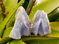 Natural Blue Lace Agate Geode Specimens x 24 From Nsanje, Malawi