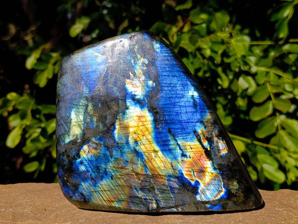 Polished Labradorite Standing Free Form x 1 From Tulear, Madagascar