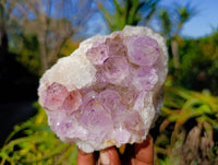 Natural Amethyst Spirit Quartz Clusters x 3 From Boekenhouthoek, South Africa - Toprock Gemstones and Minerals 
