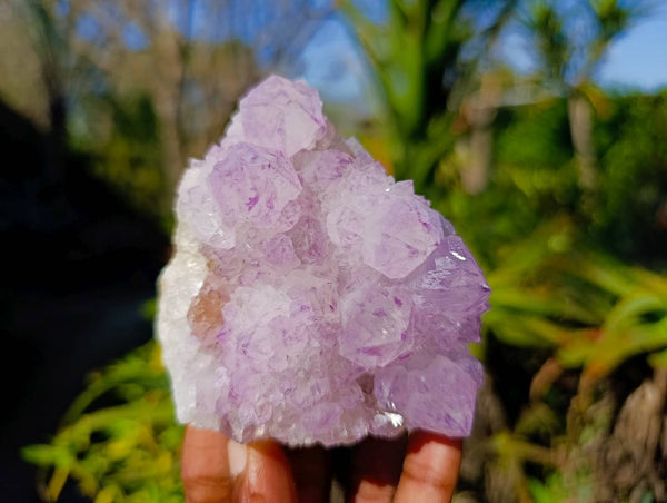 Natural Amethyst Spirit Quartz Clusters x 3 From Boekenhouthoek, South Africa - Toprock Gemstones and Minerals 