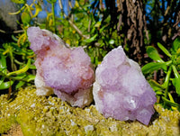 Natural Amethyst Spirit Quartz Clusters x 3 From Boekenhouthoek, South Africa - Toprock Gemstones and Minerals 