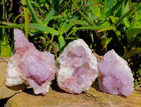 Natural Amethyst Spirit Quartz Clusters x 3 From Boekenhouthoek, South Africa - Toprock Gemstones and Minerals 