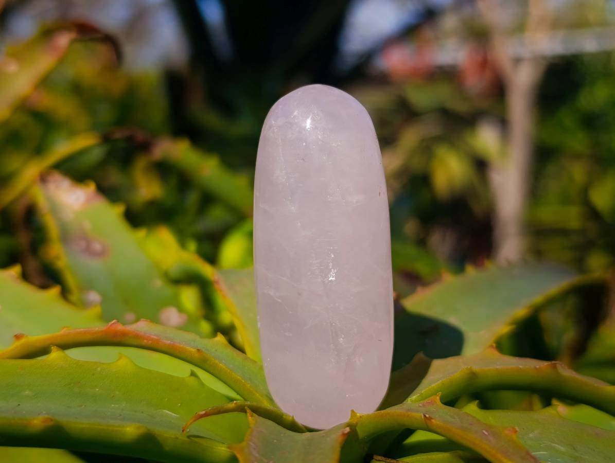 Polished Rose Quartz Bullets x 20 From Madagascar - Toprock Gemstones and Minerals 