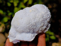 Natural Etched Blue Chalcedony Specimens x 12 From Nsanje, Malawi
