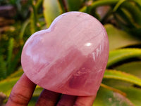 Polished Rose Quartz Hearts x 6 From Madagascar