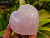 Polished Rose Quartz Hearts x 6 From Madagascar