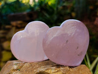 Polished Rose Quartz Hearts x 6 From Madagascar