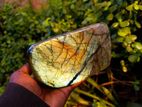 Polished Labradorite Standing Free Forms x 2 From Tulear, Madagascar