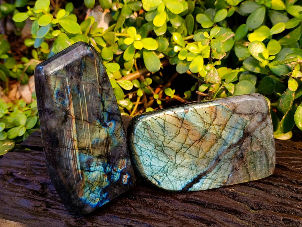 Polished Labradorite Standing Free Forms x 2 From Tulear, Madagascar - Toprock Gemstones and Minerals 
