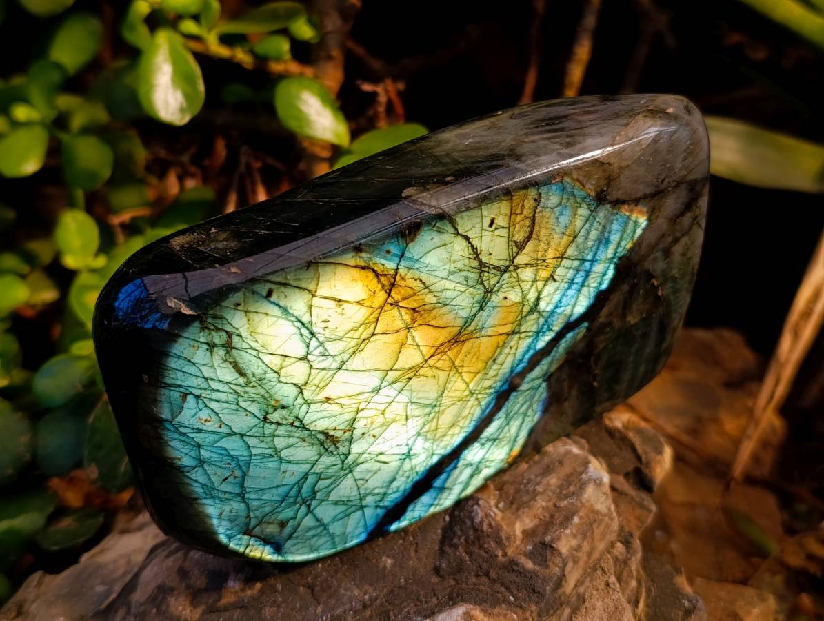 Polished Labradorite Standing Free Forms x 2 From Tulear, Madagascar - Toprock Gemstones and Minerals 